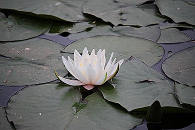 美女动作游戏《星刃》新演示 性感师姐砍怪